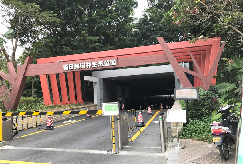 福田红树林保护区科普教育设施改造工程
