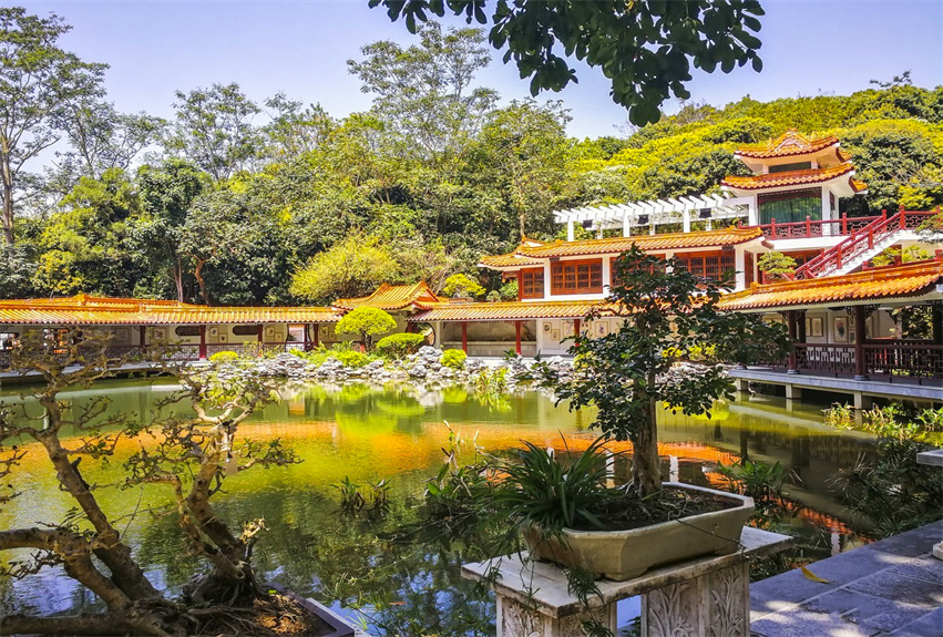 深圳仙湖植物园野营区绿化工程