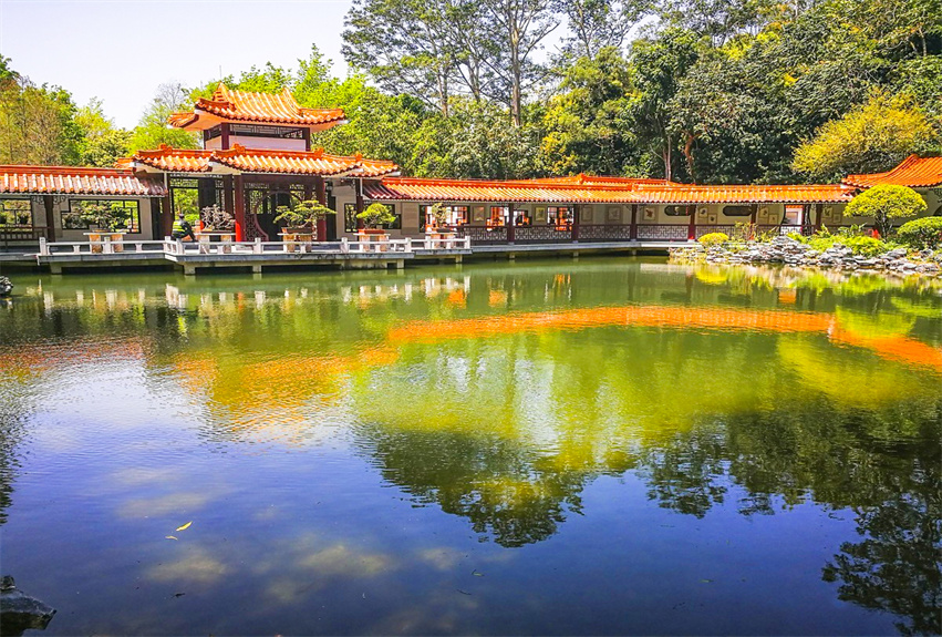 深圳仙湖植物园野营区绿化工程